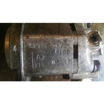 Rexroth Egypt Dutch SR1237EK65L 100 05116 Tang Drive Hydraulic Gear Pump